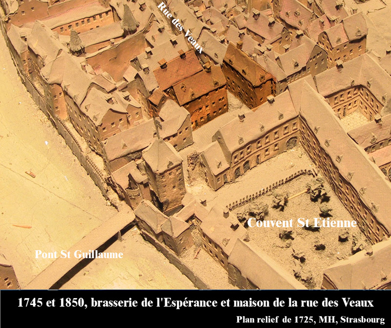 50-1725-veaux